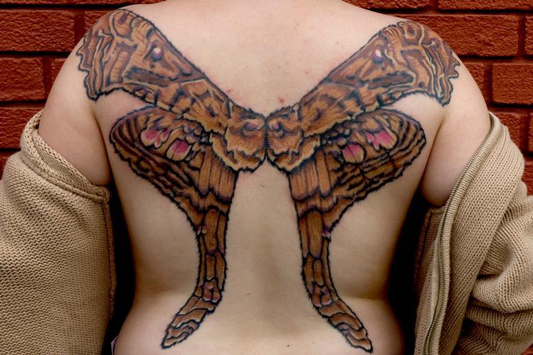 Thea Duskin - Moth Wings
